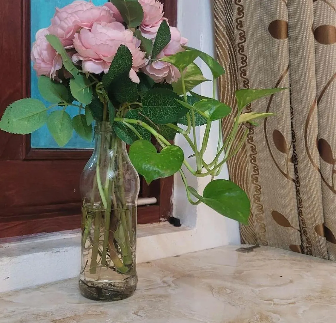 Homestay Fairy'S House Ho Chi Minh City